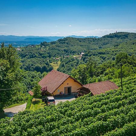 Vineyard Cottage Ucman - Happy Rentals Otočec Buitenkant foto