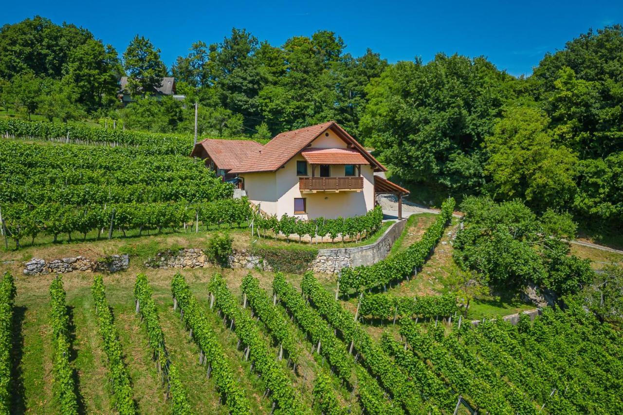 Vineyard Cottage Ucman - Happy Rentals Otočec Buitenkant foto