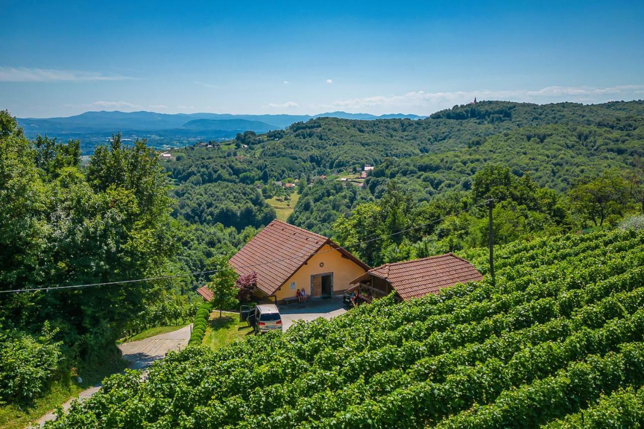 Vineyard Cottage Ucman - Happy Rentals Otočec Buitenkant foto