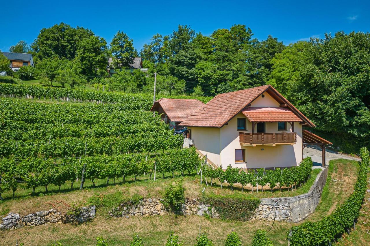 Vineyard Cottage Ucman - Happy Rentals Otočec Buitenkant foto